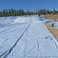 Filter geotextile PP PET non woven geotextile for filtration drainage and reinforced pavement